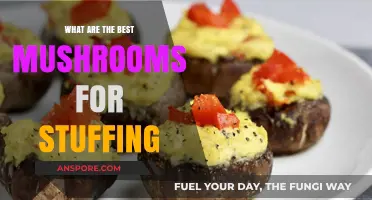 Delicious Mushroom Varieties Perfect for Stuffing: A Culinary Guide