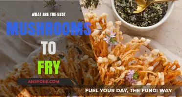Crispy Delights: Top Mushrooms for Perfectly Fried Culinary Adventures