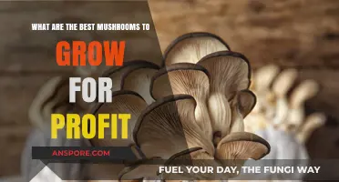Profitable Mushroom Farming: Top Varieties for High Returns and Demand