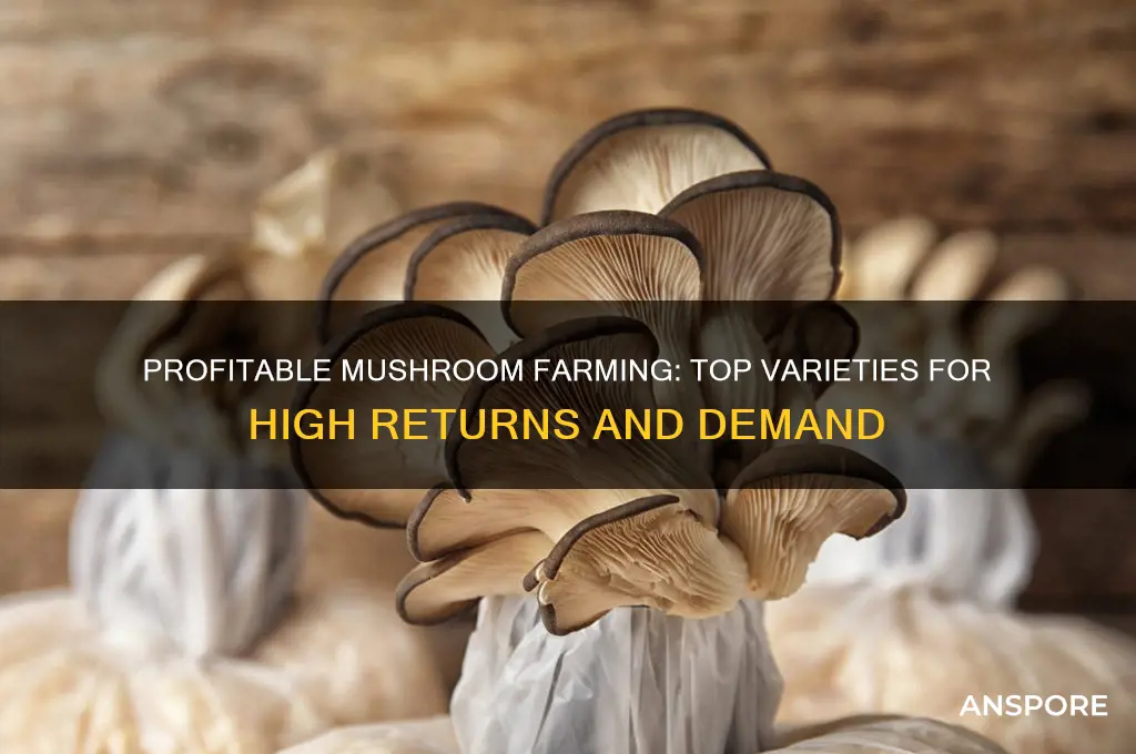 what are the best mushrooms to grow for profit
