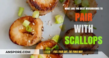 Perfect Mushroom and Scallop Pairings: Elevate Your Seafood Dish