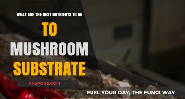 Boost Mushroom Growth: Essential Nutrients for Optimal Substrate Enrichment