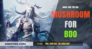 Exploring BDO's Giant Mushrooms: Uses, Locations, and Farming Tips