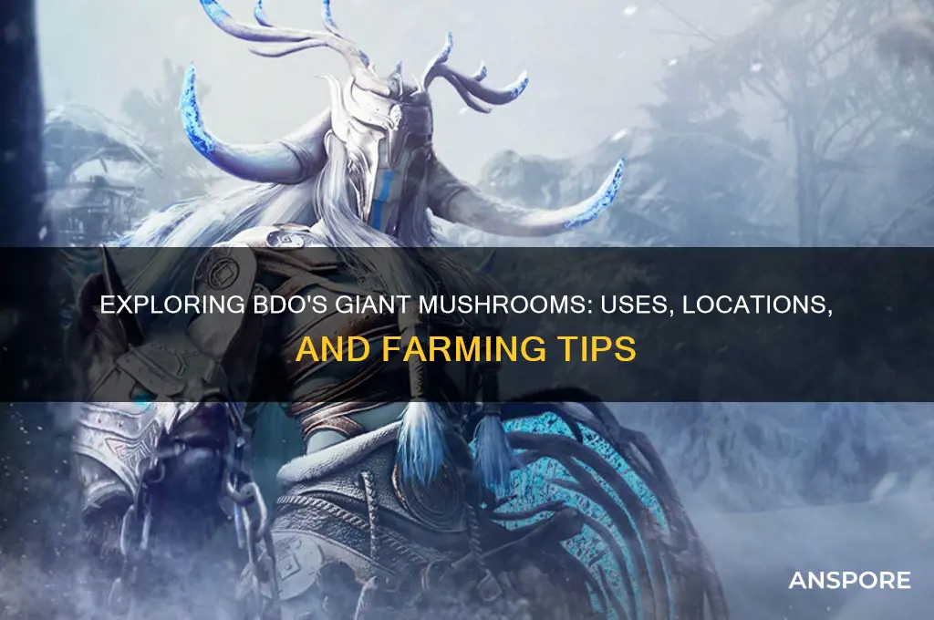 what are the big mushrooms for bdo