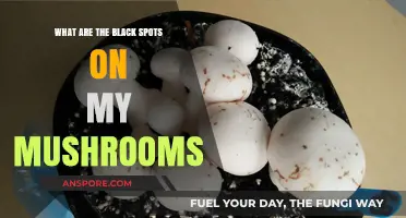 Understanding Black Spots on Mushrooms: Causes and Solutions Explained