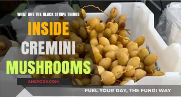 Understanding Cremini Mushrooms: The Mystery of Their Black Stripes Explained