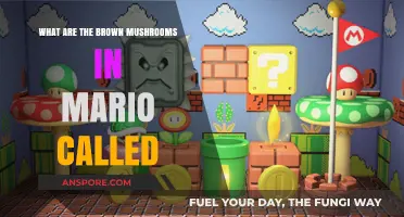 Unveiling Mario's Brown Mushrooms: Their Name and Role in the Game