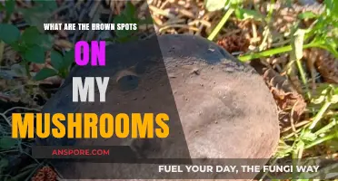 Understanding Brown Spots on Mushrooms: Causes and Solutions Explained