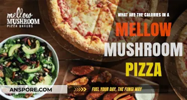 Mellow Mushroom Pizza Calories: A Slice-by-Slice Nutritional Breakdown