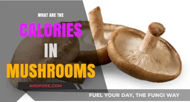 Mushroom Calories: Nutritional Value and Health Benefits Explained