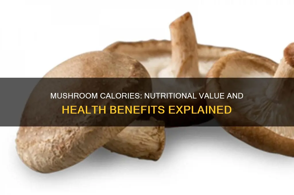 what are the calories in mushrooms