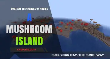 Exploring Minecraft's Rarity: Mushroom Island Discovery Odds Revealed
