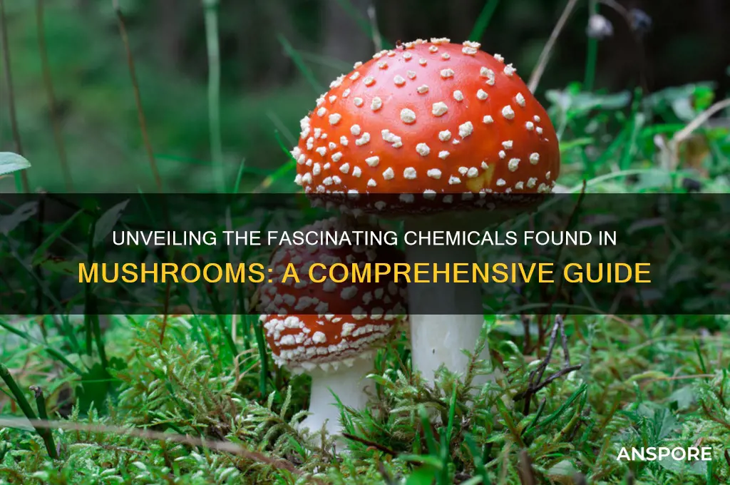 what are the chemicals in mushroom