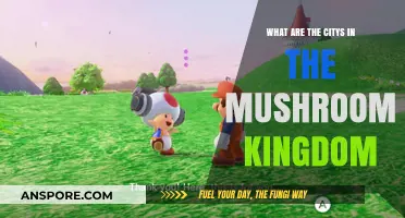 Exploring the Mushroom Kingdom: A Guide to Its Iconic Cities