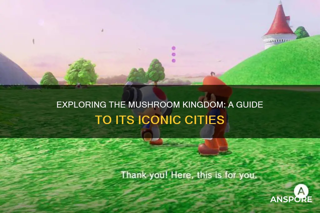 what are the citys in the mushroom kingdom
