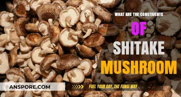 Unveiling Shiitake Mushroom's Key Components and Nutritional Benefits