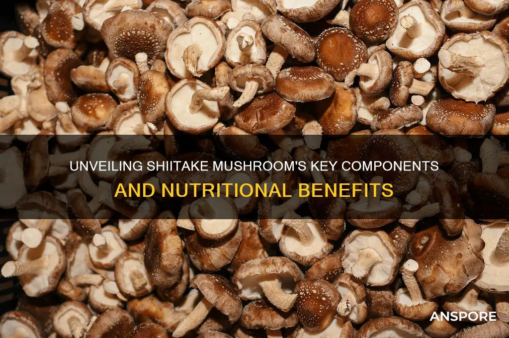 what are the constiuents of shitake mushroom