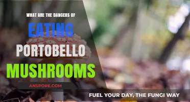 Portobello Mushrooms: Hidden Health Risks You Need to Know