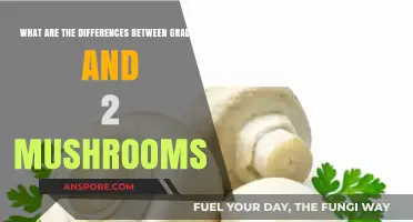 Grade 1 vs. Grade 2 Mushrooms: Key Differences Explained