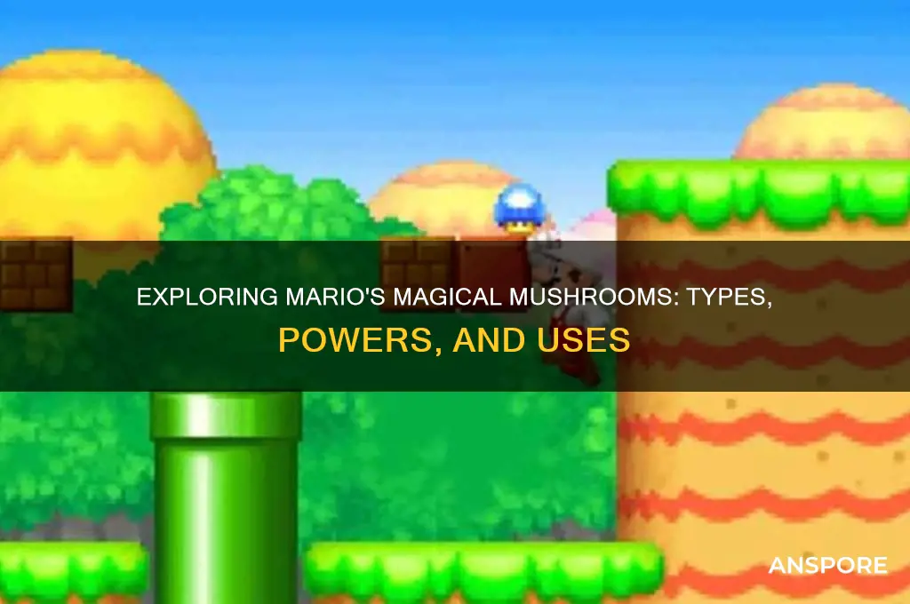what are the different mushrooms in mario