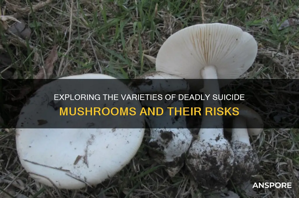 what are the different types of suicide mushrooms