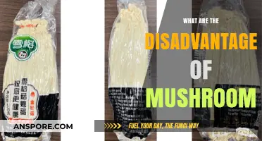 Mushroom Drawbacks: Potential Health Risks and Side Effects Explained