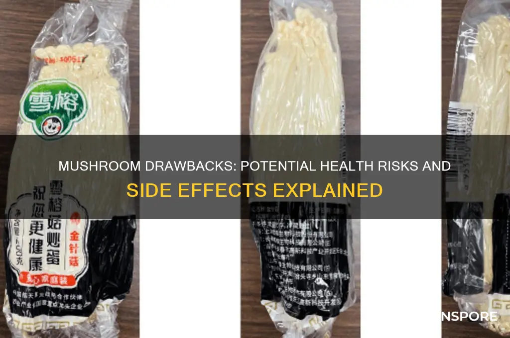 what are the disadvantages of mushroom