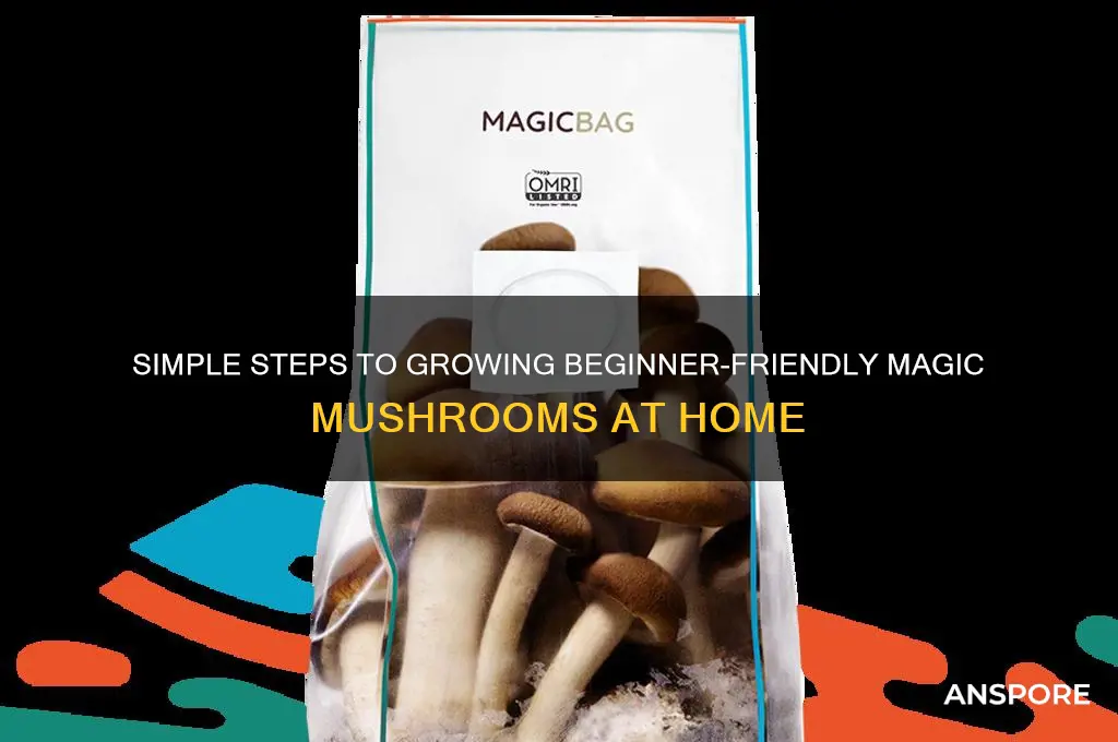 what are the easiest magic mushrooms to grow