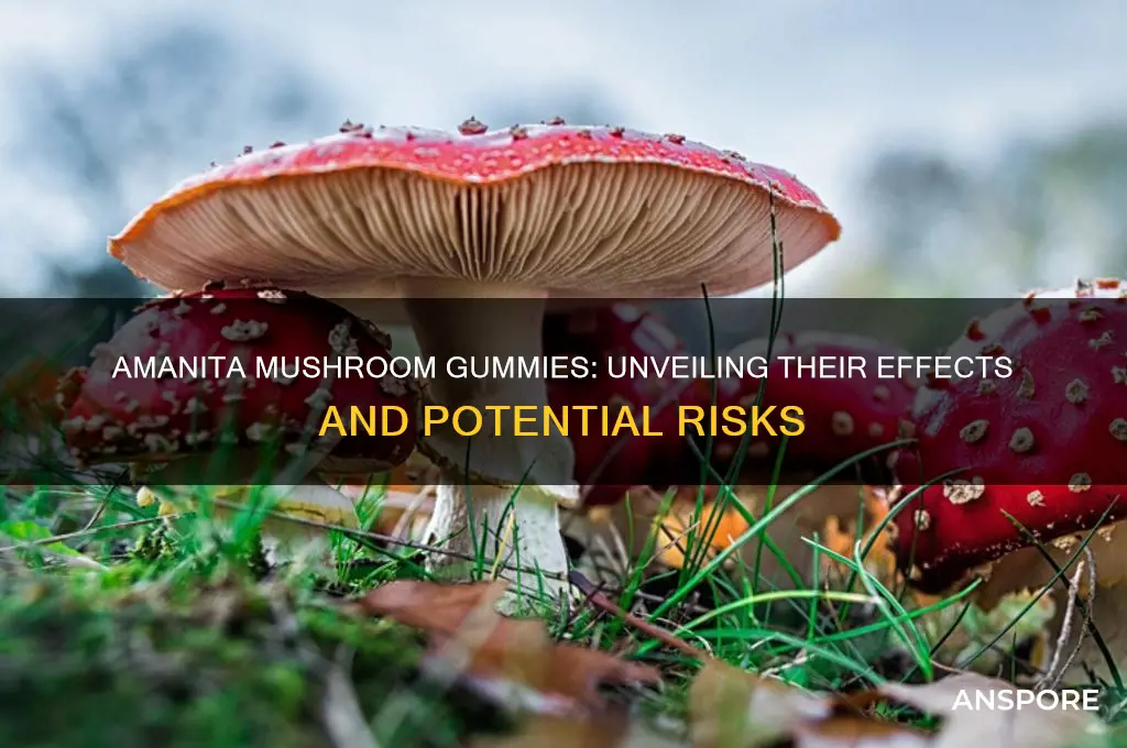 what are the effects of amanita mushroom gummies