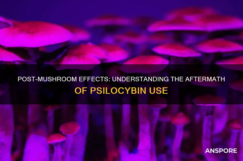 what are the effects of coming off of mushrooms