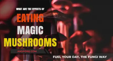 Exploring the Effects of Eating Magic Mushrooms: Risks and Insights