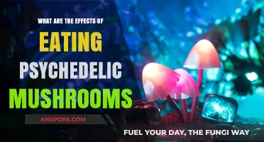 Exploring the Mind-Altering Effects of Psychedelic Mushrooms on Perception