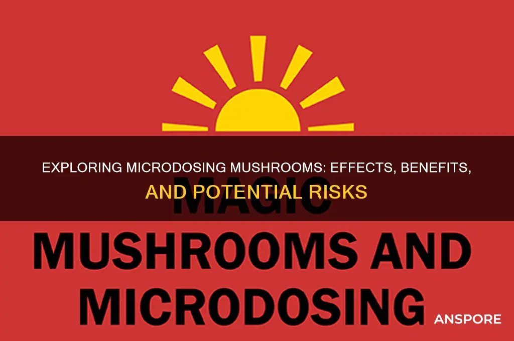 what are the effects of microdosing mushrooms