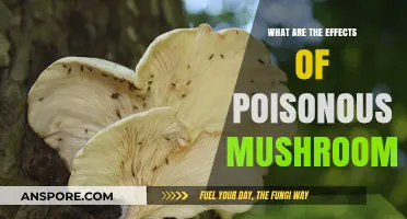 Toxic Fungi: Unveiling the Harmful Effects of Poisonous Mushrooms