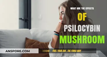 Exploring Psilocybin Mushrooms: Effects, Benefits, and Potential Risks