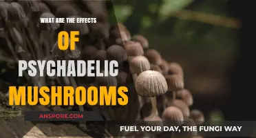 Exploring the Mind-Altering Effects of Psychedelic Mushrooms: Insights and Impacts