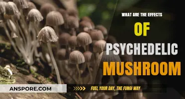 Exploring Psychedelic Mushrooms: Effects, Insights, and Potential Risks