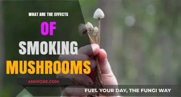 Smoking Mushrooms: Unveiling the Risks and Effects on Your Health