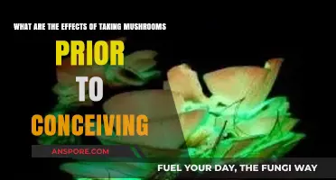 Mushrooms and Conception: Exploring Pre-Pregnancy Effects and Risks