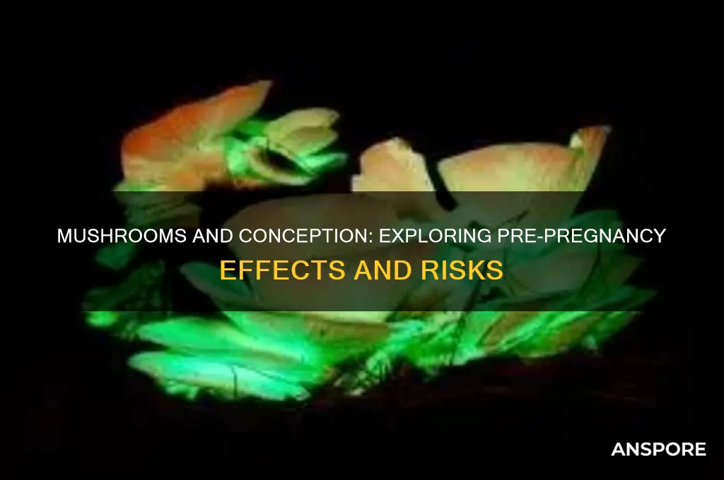 what are the effects of taking mushrooms prior to conceiving