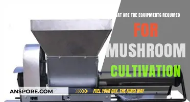 Essential Mushroom Cultivation Equipment: Tools for Successful Fungus Farming