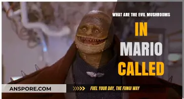 Unveiling Mario's Foes: The Notorious Evil Mushroom Names Explained