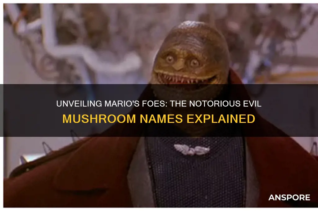 what are the evil mushrooms in mario called