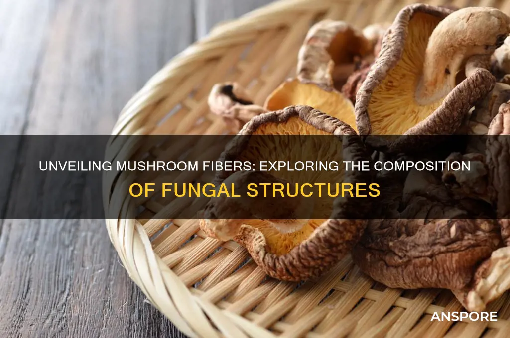 what are the fibers that make up a mushroom