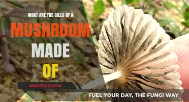 Unveiling Mushroom Gills: Composition, Structure, and Function Explained