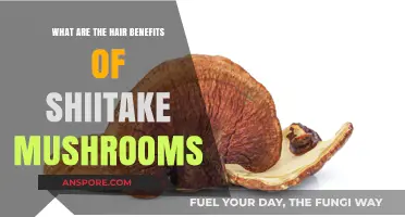 Shiitake Mushrooms: Unlocking Hair Health Benefits and Nourishment