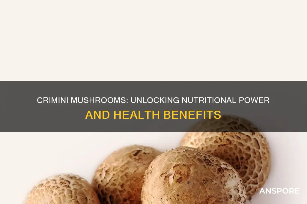 what are the health benefits of eating crimini mushrooms