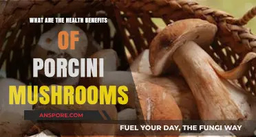Porcini Mushrooms: Unlocking Powerful Health Benefits for Your Wellness