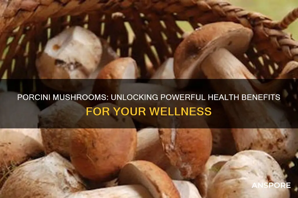 what are the health benefits of porcini mushrooms