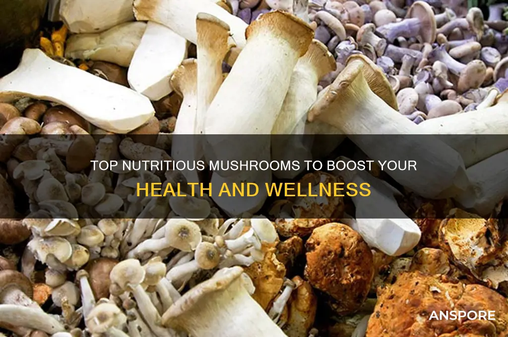 what are the healthiest mushrooms to buy